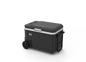 Outdoor Refrigerator with Lithium Battery — 40L and 50L Models